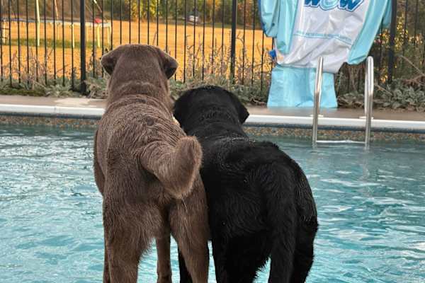 Hagerstown, Maryland, United States