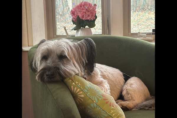 Iowa City, Iowa, United States