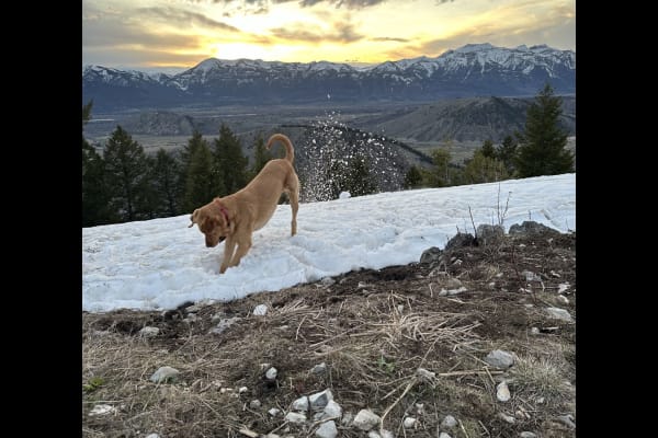 Jackson, Wyoming, United States