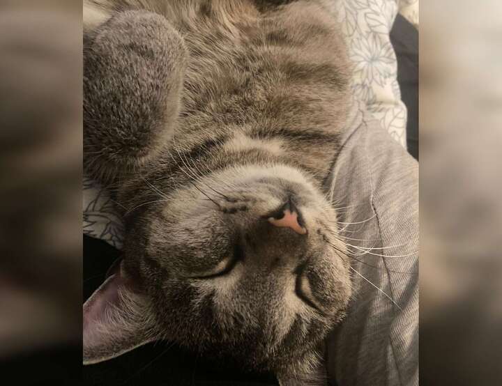 Nesoddtangen, Akershus, Norway