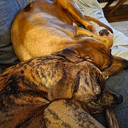 Joondalup, Perth, Western Australia, Australia