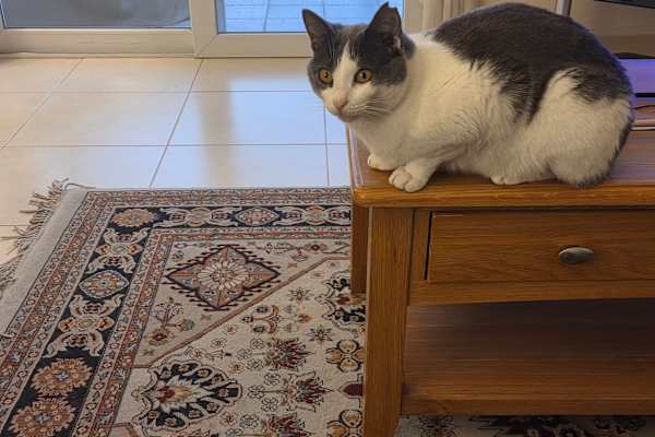 Paphos, Pafos, Cyprus