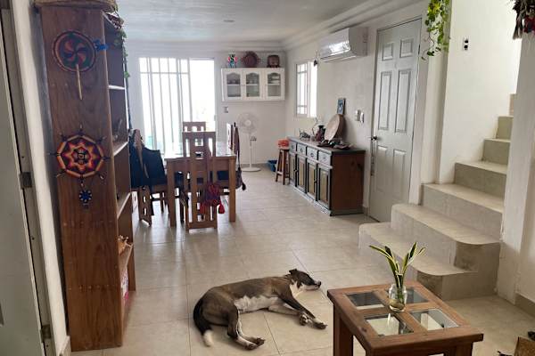 Playa del Carmen, Quintana Roo, Mexico