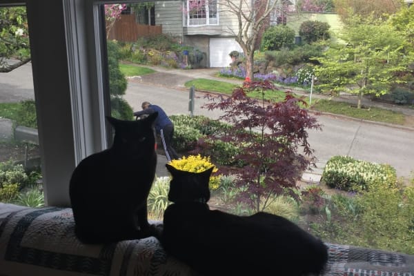 Seattle, Washington, United States