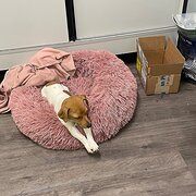 Hallett Cove, South Australia, Australia