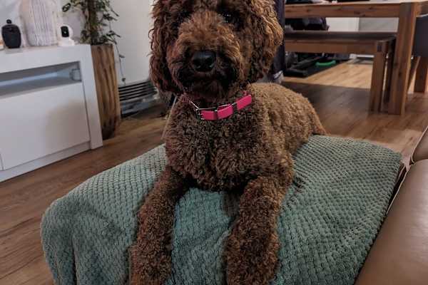 Frankston East, Victoria, Australia