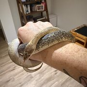 Roxburgh Park, Victoria, Australia