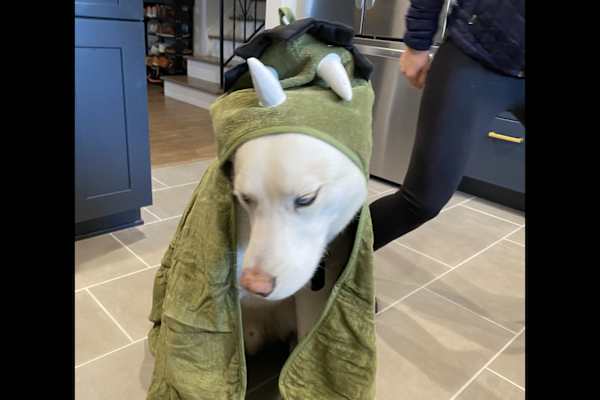 Arvada, Colorado, United States