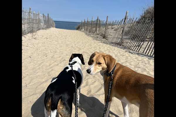 Milton, Delaware, United States