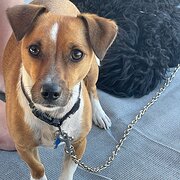 Alkimos, Wa, Western Australia, Australia