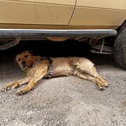 Pearcedale, Victoria, Australia