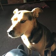 Wodonga, Victoria, Australia