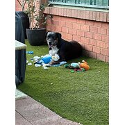 Maddington, Western Australia, Australia