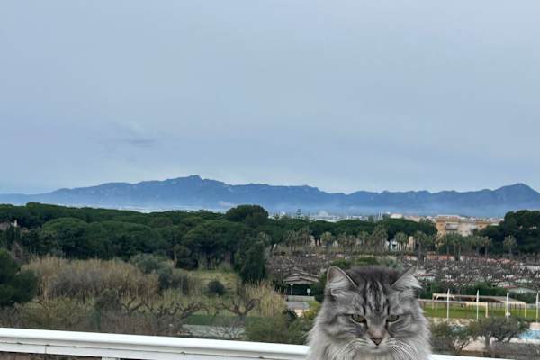 Barcelona, Catalonia, Spain