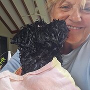 Falcon, Western Australia, Australia