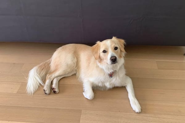 Claremont, Western Australia, Australia