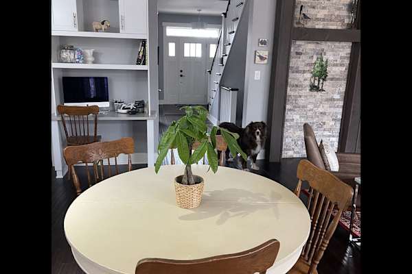 Almonte, Ontario, Canada