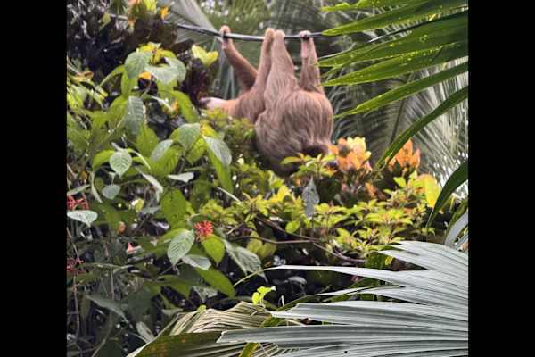 Puerto Viejo, Guanacaste, Costa Rica