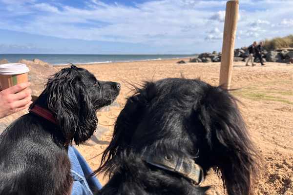 Milton Keynes, England, United Kingdom