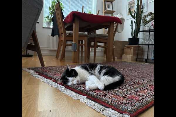 Göteborg, Vaestra Goetaland, Sweden