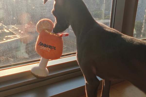 Brooklyn, New York, United States