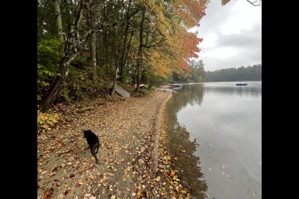 Oxford, Maine, United States