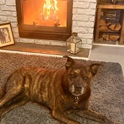 Rugby, West Midlands, UK