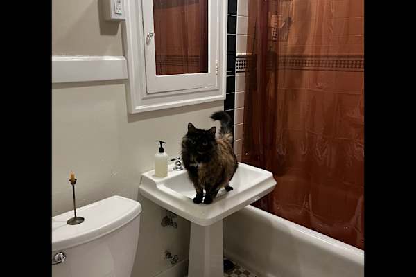 Seattle, Washington, United States