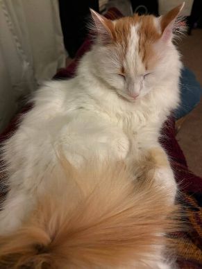 Southwest side of town, Santa Fe, New Mexico United States