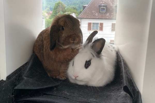 Leipzig, Saxony, Germany