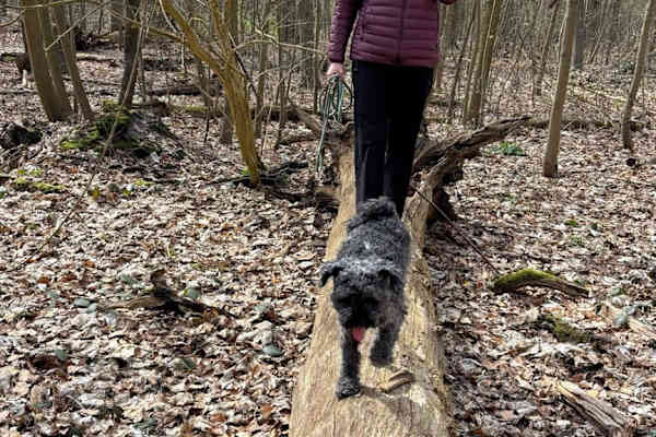 Hannover, Lower Saxony, Germany