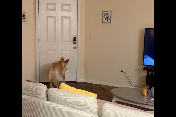 Nashville, Tennessee, United States