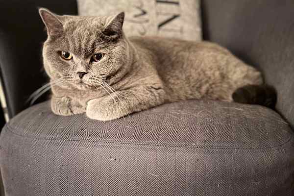 Munich, Bavaria, Germany