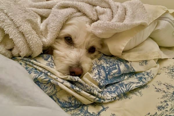 Panamá, Panama, Panama