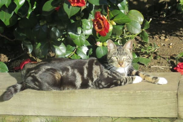 Kingston upon Thames, England, United Kingdom