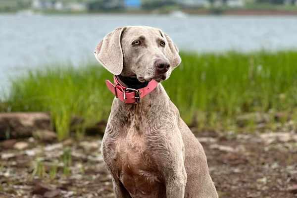 Kensington, Prince Edward Island, Canada