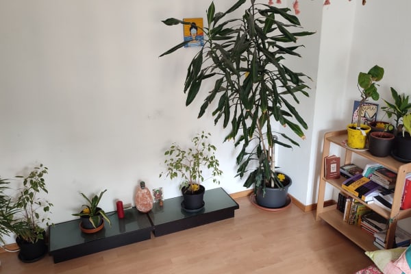 Berlin, Berlin, Germany