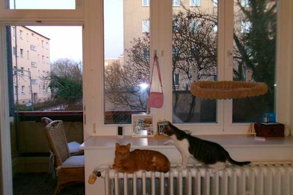 Berlin, Berlin, Germany