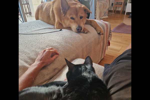 Cascais, Lisbon, Portugal