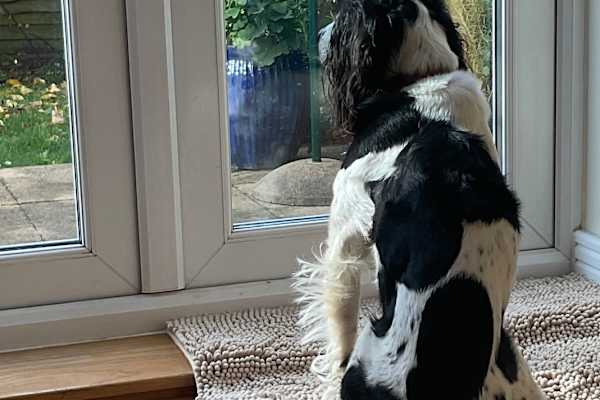 Oxford, England, United Kingdom