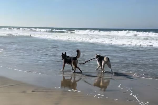 Punta Banderas, Baja California, Mexico