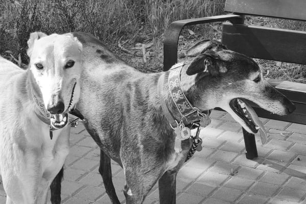 Hua Hin, Prachuap Khiri Khan, Thailand