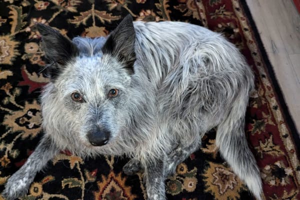 Colorado Springs, Colorado, United States