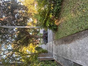 North Miami, NoMi/Biscayne Park, North Miami, Miami Dade, Florida United States