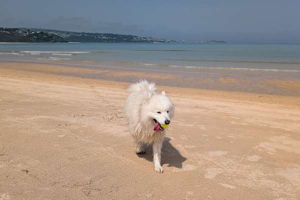 Illogan, England, United Kingdom