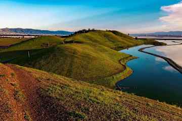 Fremont,California,United States