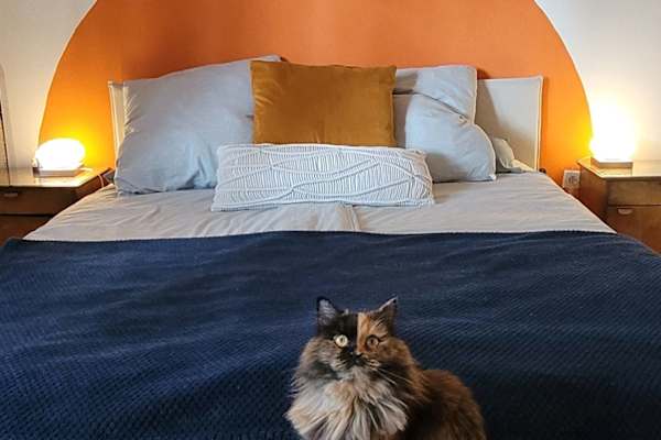 Köln, North Rhine-Westphalia, Germany