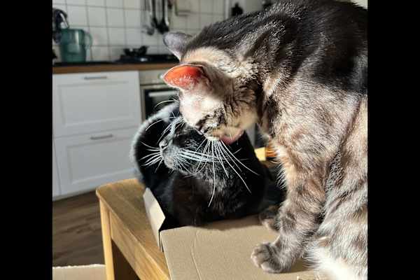 Berlin, Berlin, Germany